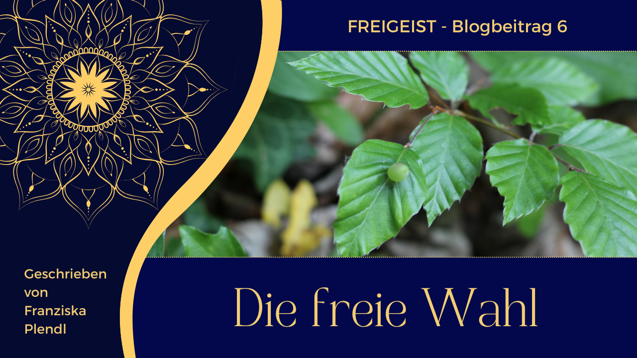 Read more about the article Die freie Wahl