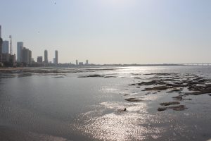 IMG_0554